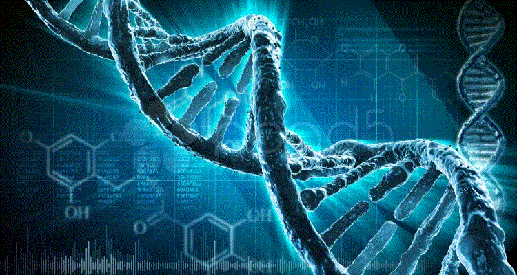 La influencia de la genética en la salud