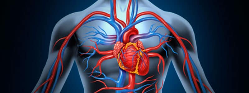 Salud cardiovascular