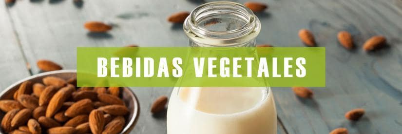 Bebidas vegetales