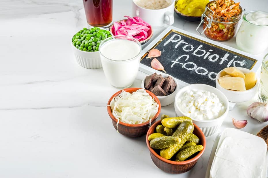alimentos probioticos